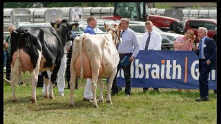 Ayr Show 2024 Dairy Interbreed ClassHolstein Clydeview Sidekick Matilda vs Ayrshire Morwick Peggy [upl. by Enner384]