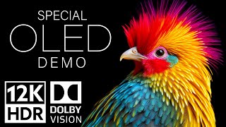 12K HDR Video ULTRA HD 120fps Dolby Vision  Special Oled Demo [upl. by Swart]