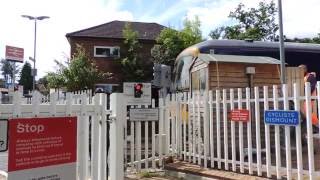 Farnborough North Level Crossing  8816 [upl. by Whitten444]