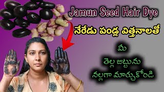 How To Make Jamun Seed Hair DyeNatural Hair Dye in teluguSuryas food and beauty [upl. by Euhsoj777]