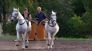 Why the TwoWheel Chariot Was So Effective in Ancient Battles [upl. by Amsed]