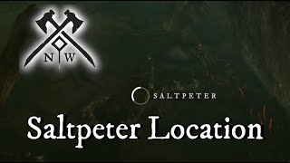 Saltpeter Location  Torrentdawn Cave  New World [upl. by Donavon274]