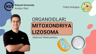 Mitoxondriya Lizosoma [upl. by Jeffcott]