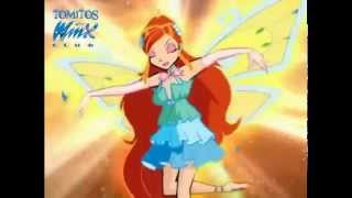 WITCH VS Winx Club  Attack [upl. by Annodal]