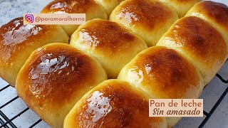 Pan de leche sin amasado  con harina común  tiernos y esponjosos [upl. by Karee]