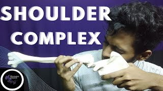 SHOULDER JOINT INTRODUCTION SHOULDER JOINT COMPLEX BIOMECHANICSPhysiotherapy Tutorials [upl. by Nyladnek516]