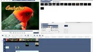 Ulead VideoStudio Video Tutorial  Ripple Editing [upl. by Basil]