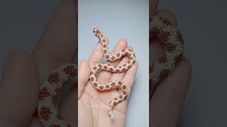 Amigurumi Hognose Snake visit my channel for the tutorial crochet snake animals tutorial [upl. by Ressay447]