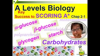 Carbohydrates Glucose Maltose Starch Glycogen  Lesson 21  YH HO [upl. by Cele]