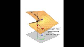 Root Finding by Monodromy Path Tracking [upl. by Ennaylime]