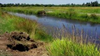 Following the Invasive Nutria in the Northwest [upl. by Arturo682]