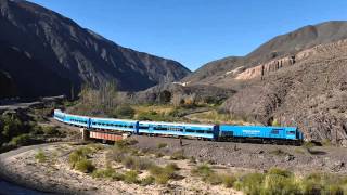 7 nuevos ferrocarriles argentinos [upl. by Ellenod236]