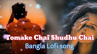 Tomake Chai Shudhu Chai  Bangla Lofi song 2023 Song Slowed  Reverb Bangla new song Lofi [upl. by Inimak]