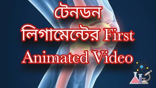 টেনডন ও লিগামেন্টের ANIMATION💖 VIDEO🫣Sciencelab0 [upl. by Fia]