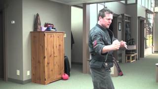 Kenpo Karate  3rd Black Techniques [upl. by Culhert]