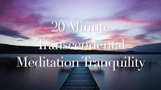 20 Minute Transcendental Meditation Music [upl. by Gehlbach]