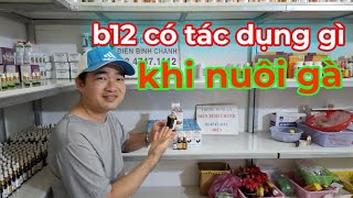 TÁC DỤNG THẬT SỰ CỦA B12 5500 ĐỐI VỚI GÀ LÀ GÌ  0347471112 Điền [upl. by Askwith]