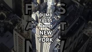 Dumb Facts About New York City that are STUNNING [upl. by Droflim]