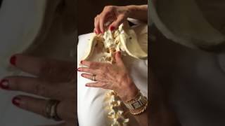 Low Back Pain Relief Spinal mobilization using your own hands Part 1 [upl. by Henka]