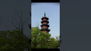 A Close Look at the Stunning Longhua Temples Pagoda in Shanghai longhua shanghai china [upl. by Kenimod191]