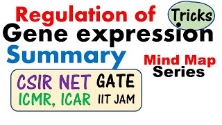 Regulation of gene expression [upl. by Welton]