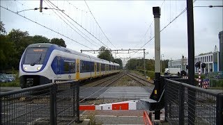 Spoorwegovergang DriebergenZeist  Dutch railroad crossing [upl. by Standush]