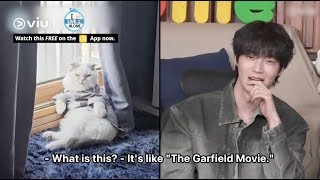 Ahn Jae Hyun Lives With His 10yearold Cat Anju Who Behaves Like A Human 🤣  I Live Alone [upl. by Viccora]