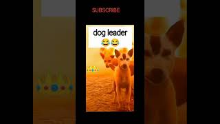 Dog attack 😂😂 funny trending funny ytshorts funnymemes [upl. by Gerdi791]