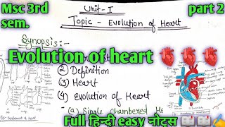 Evolution of heart ❤️part 2msc Zoology 3rd semfull हिन्दी easy notes 🔥🔥📖 ✍️ [upl. by Mozes]