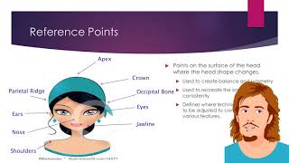 Reference Points and Areas of the Head [upl. by Rochester863]