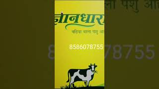 Gyan Dhara Pashu Aahar agency [upl. by Maccarthy]