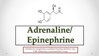 Adrenaline Epinephrine uses antidote effects mechanism indications and ADRs ☠ [upl. by Afrikah669]