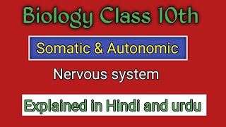 quotSomatic amp Autonomic Nervous System – The Power of Control Explained in Hindi and urdu [upl. by Salkin]