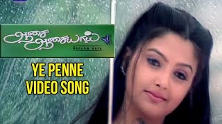 Aasai Aasaiyai Tamil Movie  Ye Penne Video Song  Jiiva  Sharmelee  Mani Sharma [upl. by Ahsikin]