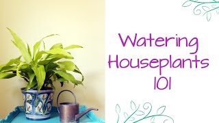 Watering Houseplants 101 Variables To Consider [upl. by Lenka]