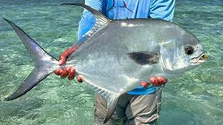 Fly Fishing for Permit in Permit Alley Belize [upl. by Anzovin]