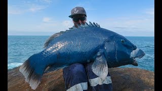 MONSTER FISH OFF THE ROCKS NEW PB BLUE [upl. by Malka]