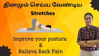 Simple Daily Stretches for Posture Correction amp Back Pain Relief  Suitable for All Ages [upl. by Damalis]