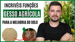 Incríveis funções do GESSO AGRÍCOLA para a melhoria da fertilidade do solo [upl. by Bartle632]