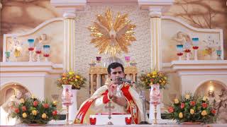 വിശുദ്ധ കുർബാന Holy Mass Malayalam Syro Malabar  FrNaveen Ukken  8281557326 Munippara church [upl. by Northington]