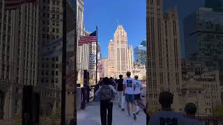 Downtown Chicago travel usa america windycity chicagoland [upl. by Suirtemid973]