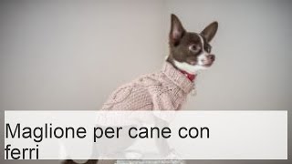 Maglione per cani ai ferri caratteristiche e istruzioni per principianti [upl. by Aisercal265]