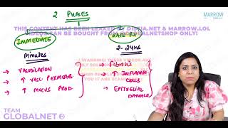 HYPERSENSITIVITY REACTION By Dr Illa jain khandelwal Pathology by Marrow Video Lacture [upl. by Eilhsa]