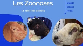 Webinaire 💻 Les Zoonoses 🗂️ La toxoplasmose🖍️ [upl. by Nomit]