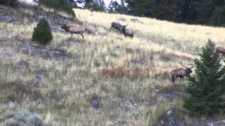 Part 10 Montana Archery Elk Hunt with KUIU Founder Jason Hairston [upl. by Amles945]