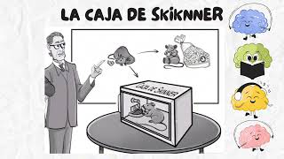 Condicionamiento Operante Skinner [upl. by Bannister8]