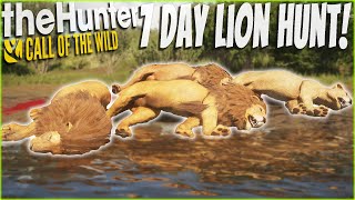 I Hunted Lions For 7 DAYS STRAIGHT And Got Diamonds Galore Call of the wild [upl. by Essiralc569]