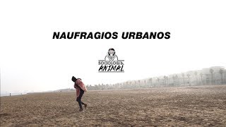 Sociología Animal  NAUFRAGIOS URBANOS con Ana Zomeño VIDEOCLIP 4K [upl. by Jessica953]