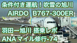 【吹雪の旭川】エアドゥ B767300ER 羽田ー旭川 搭乗レポ（ANAマイル修行Part77）AIRDO B767300ER TokyoAsahikawa Flight Report 4K [upl. by Oratnek]