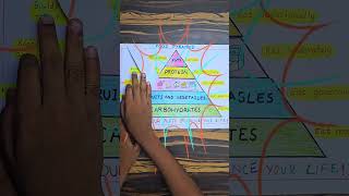 Food Pyramid Model Drawing 😍 Draw Food Pyramid Science Project Balanced diet 🤩 Food groups [upl. by Tegan]